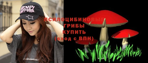 МДПВ Аркадак