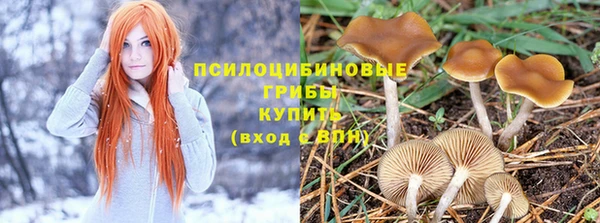 ГАЛЛЮЦИНОГЕННЫЕ ГРИБЫ Остров