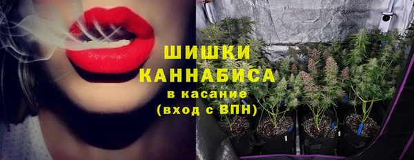 прущие грибы Надым