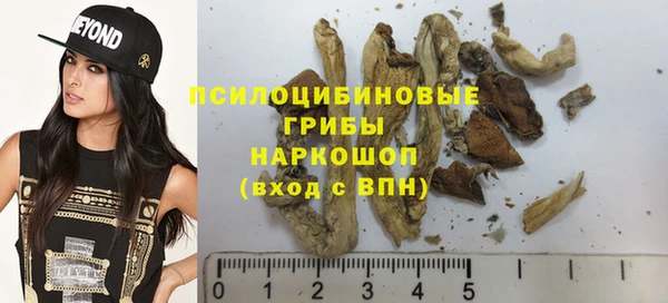 ГАЛЛЮЦИНОГЕННЫЕ ГРИБЫ Остров