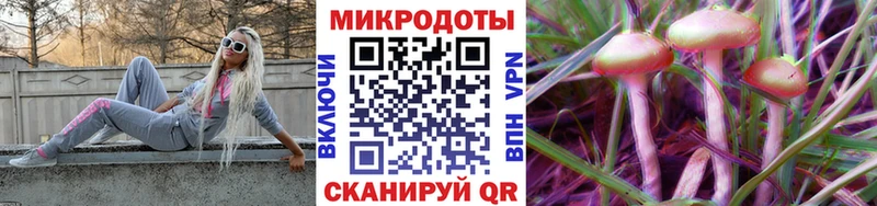 Галлюциногенные грибы мухоморы закладки Старица